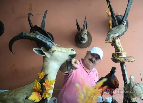 İş yerinde doldurulmuş hayvanları sergiliyor