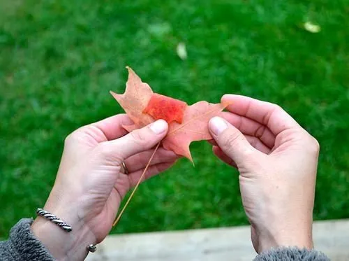 Sonbahar yapraklarından buket yapımı