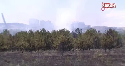 Atatürk Orman Çiftliği’nde yangın | Video