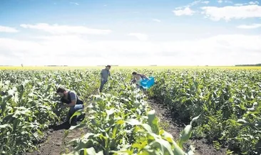 Çiftlikten sofranıza