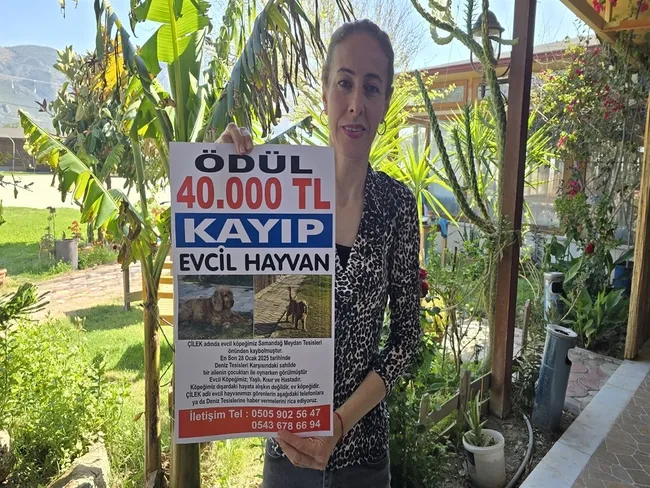3-aydir-araniyor-cileki-bulana-40-bin-tl-odul-1745134311706.jpg