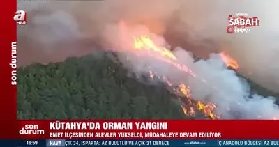 Son dakika: Kütahya’da orman yangını çıktı! | Video