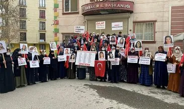 Diyarbakır anneleri evlatlarına seslendi: Sen gelmeden bayram olmaz