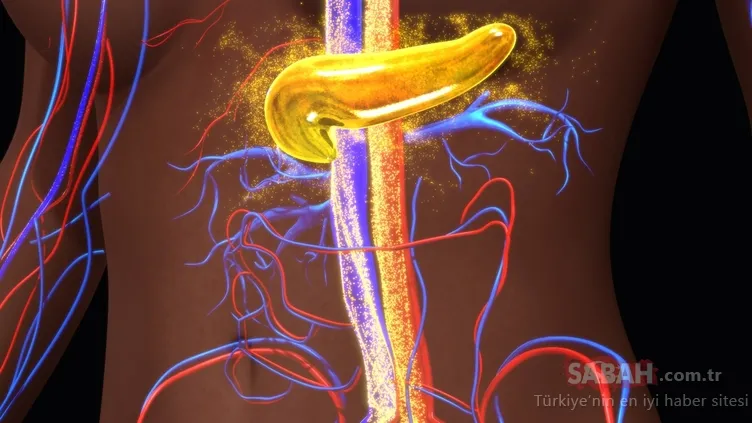 Vitamin eksikliğinin belirtileri...