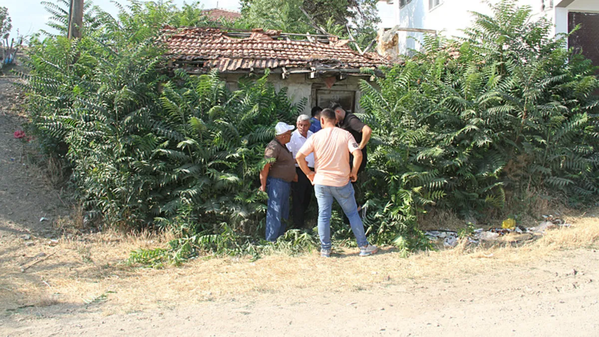 Bütün şehir bu efsaneyi konuşuyor! Halk kahramanı Keloğlan hakkında ilginç iddia: Memleketi belli oldu!