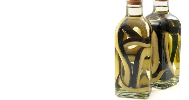 Yılan Yağının Saça Faydaları Nelerdir? Yılan Yağı Saça Nasıl Uygulanır, Ne İşe Yarar?