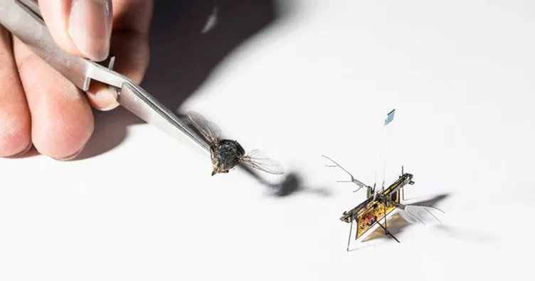 Kürdan ağırlığında robot böcek üretildi