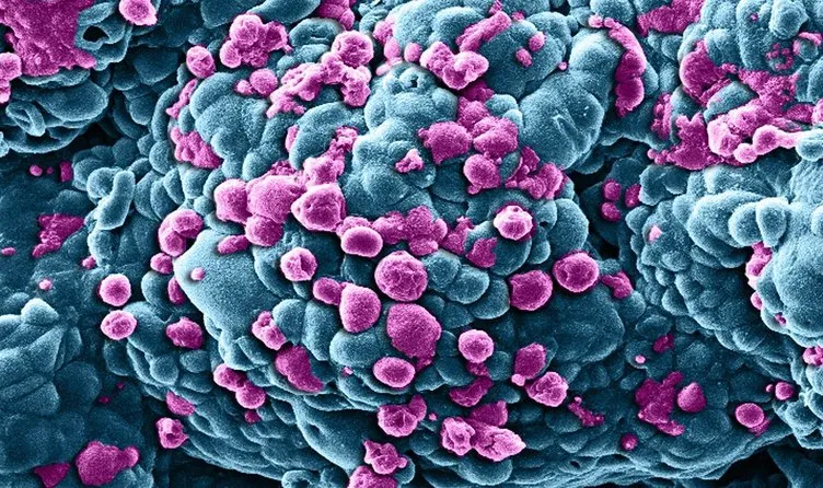 Oruç tutmak kansere neden olan geni kapatıyor!