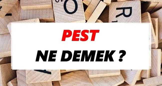 Pest Ne Demek? TDK’ya Göre Pest Sözlük Anlamı Nedir?