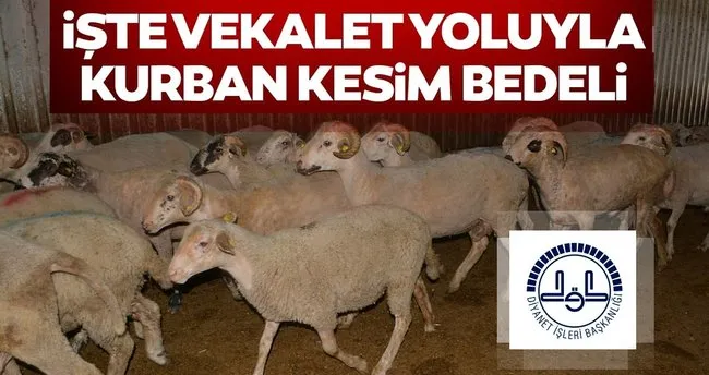 iste 2019 yili kurban kesim bedeli
