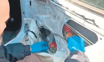 Bir kapıdan 66 bin hap çıktı