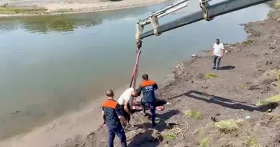 Bataklığa saplanan at vinçle kurtarıldı