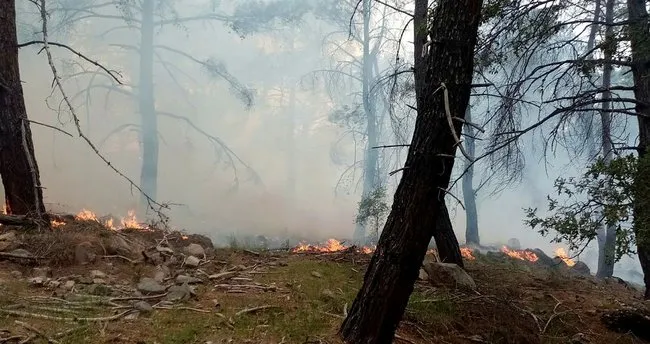 Son dakika: İzmir'deki yangın kontrol altına alındı
