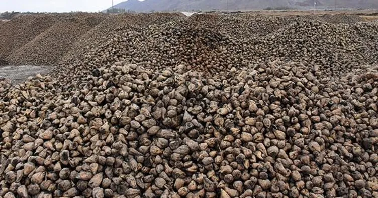 Üretimde rekor kırıldı! Dışarıya bile satıyoruz Şekerin arkasından da stokçular çıktı