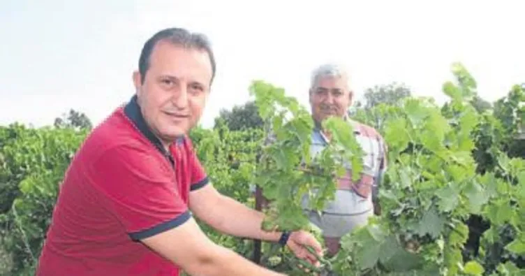 Soylu üzüm kesti işçilerle buluştu