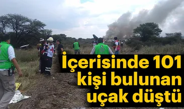 Son dakika: Meksika’da yolcu uçağı düştü