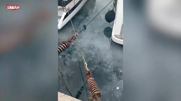 Bebek'teki deniz kirliliği vatandaşları isyan ettirdi | Video