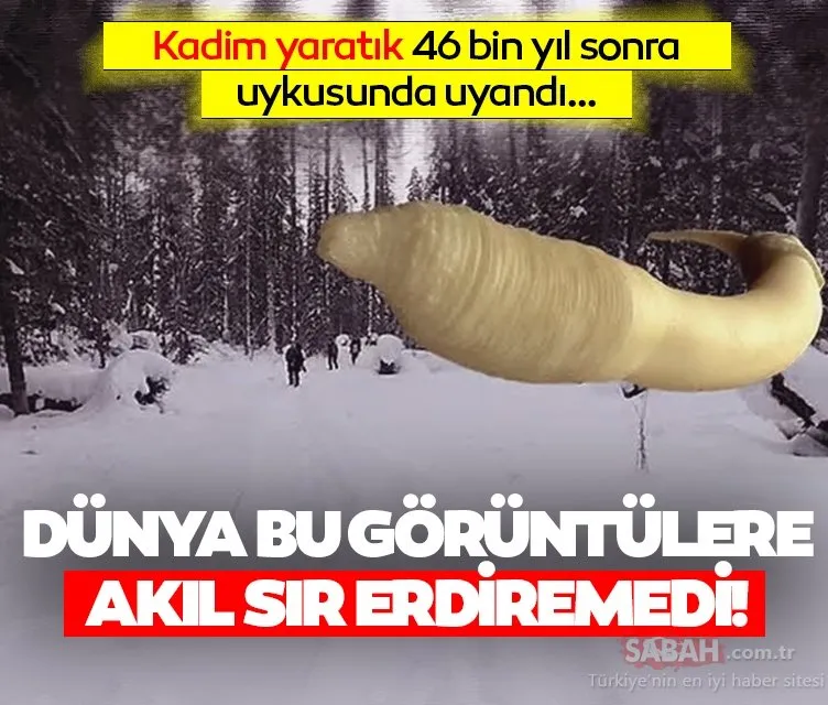 46 bin yıl sonra uykusundan uyandırdılar! Dünya bu görüntülere akıl sır erdiremedi…