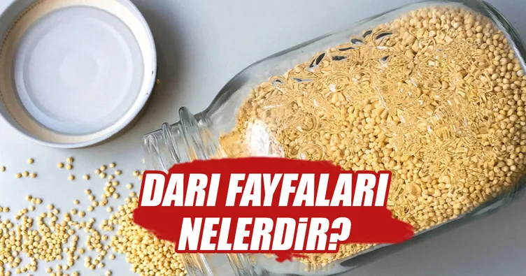 Darı nedir? Darı faydaları nelerdir?