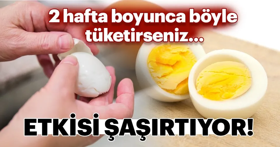 2 hafta boyunca boyle tuketirseniz sayfa 5 kadin haberleri