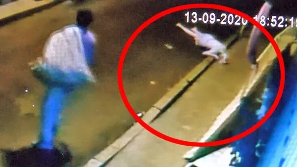 Son dakika haberi: İstanbul'da dehşet! Ukraynalı kadının 8'inci kattan düşerek feci ölüm anı kamerada | Video