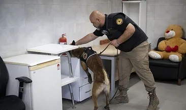 Keskin burunlar siber suçların peşinde