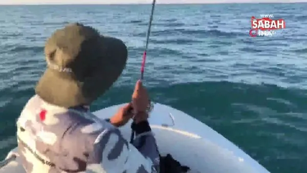 Oltayla 26 kiloluk dev turna balığı yakaladılar | Video