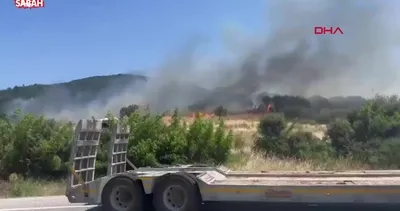 Çanakkale’de orman yangını | Video