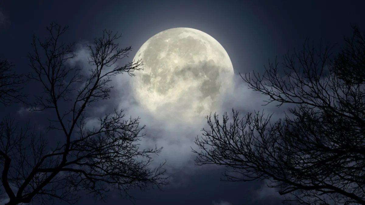 ŞUBAT AYI DOLUNAYI VE BURÇLARA ETKİSİ | Dolunay ne zaman, burçları nasıl etkileyecek?