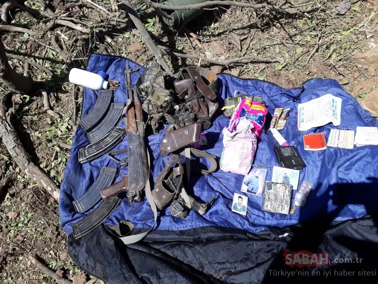 Siirt'te teröristlere ağır darbe