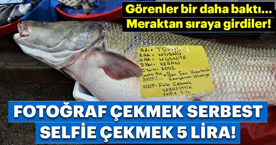 sabah