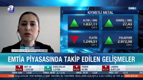 Şirin Sarı: Gram altın için bantlar önemli hale geldi