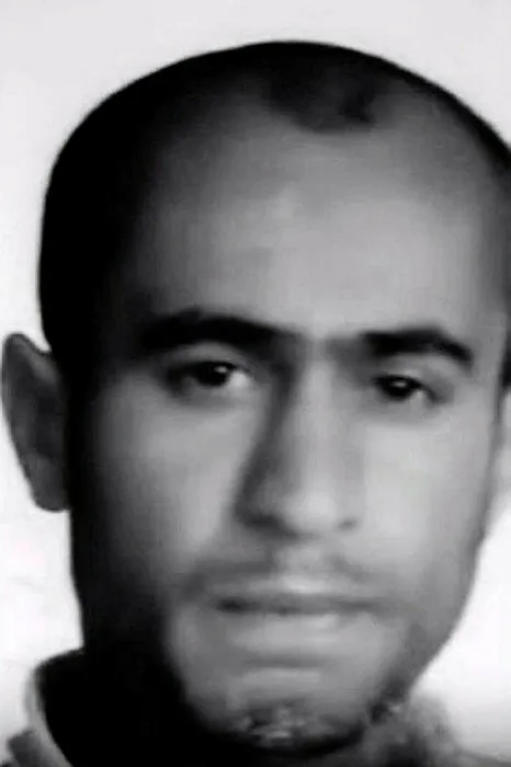 İstanbul’da başıboş köpekler adamı parçalayarak öldürdü! Otopsi raporunda korkunç detaylar!