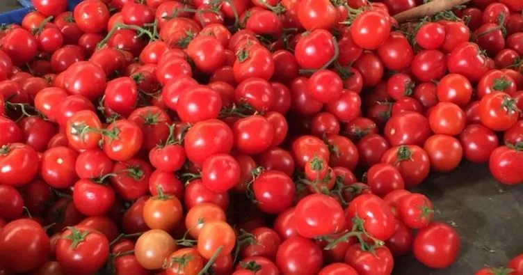 Rusya’dan flaş domates açıklaması