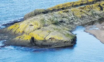 Bu ada timsaha benziyor