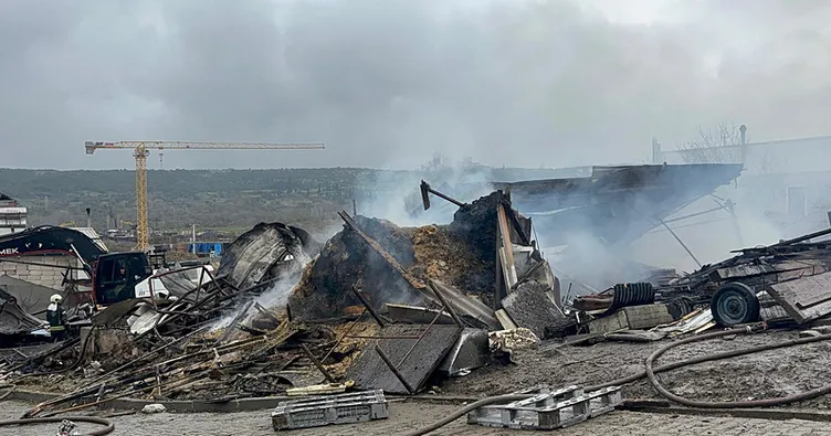 Kocaeli’de ahırda yangın! Çok sayıda hayvan telef oldu