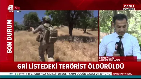 Diyarbakır Lice'de terör örgütüne darbe: Gri listedeki terörist öldürüldü!