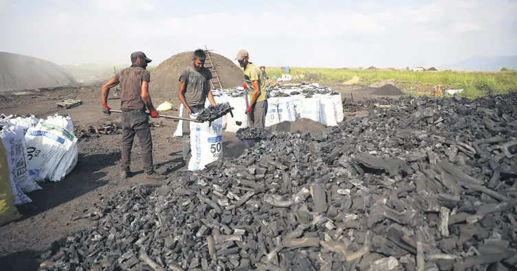 Kilosu 35 lira, çilesi 1 ay