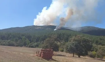 Son dakika: Eskişehir, Balıkesir ve Bursa’da orman yangını