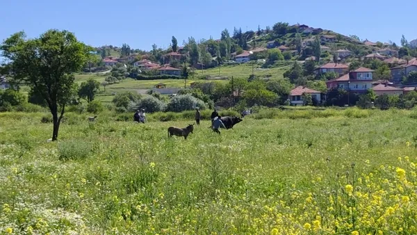 saldirganlasan-kurbanlik-sahibine-kabusu-yasatti-1779891317183.jpg