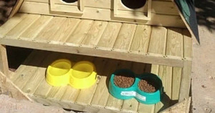 Kilis’te parklara kedi evleri kuruyor