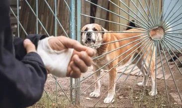 Avrupa’da para cezası da var uyutma da!