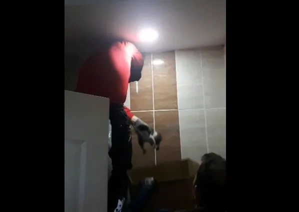 3 yavru kedi duvara delik açılarak kurtarıldı Kırıkkale Haberleri