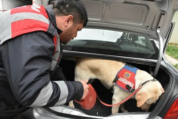 Bilecik'te ele geçirildi... Piyasa değeri tam 10 milyon TL
