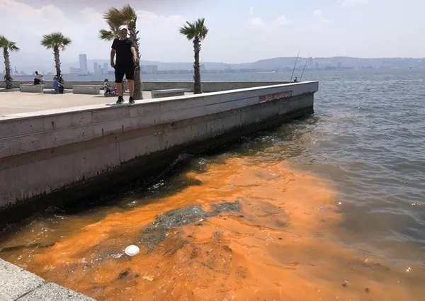 İzmir Körfezi alarm veriyor! Şimdi de rengi değişti! Uzmanlar uyardı: Toplu ölümler olabilir