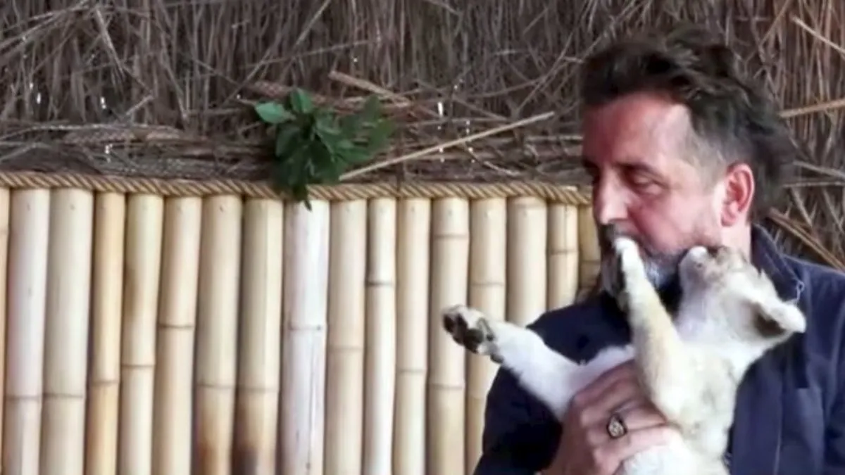 Veteriner kliniğinde ele geçirilen yavru aslana ‘Hugo’ adı verildi Veteriner kliniğinde ele geçirilen yavru aslana ‘Hugo’ adı verildi