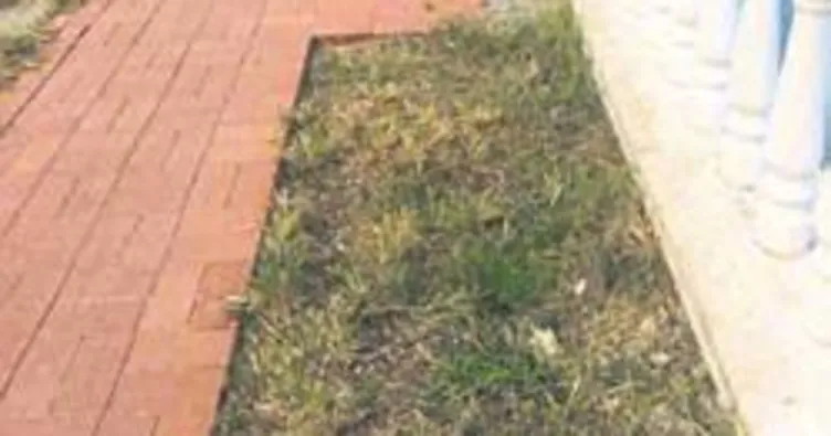 Melih Abi: Yaya yolunun durumu berbat