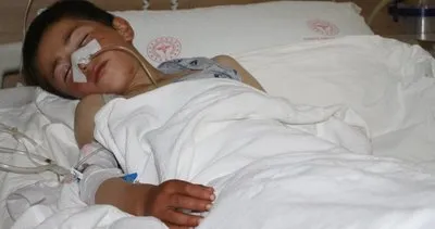O ilimizde ayı dehşeti: 11 yaşındaki çocuğun ameliyatı 3 saat sürdü!