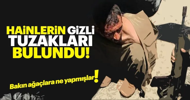 PKK’lı teröristler ağaçta brandayla gözetleme kulesi yapmış!