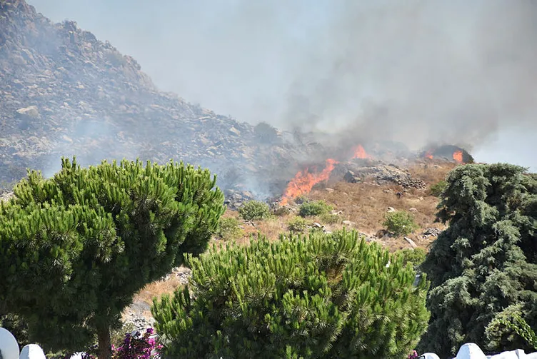 Son dakika: Haberler peş peşe geldi! 7 ilde yangın çıktı! Müdahale sürüyor...